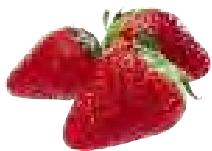 MAGIMIX 18026 DUO XL BLANC - Fraise - 1