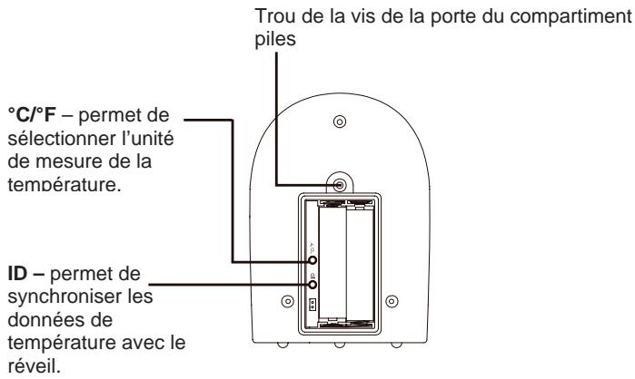 BRANDT BCR 85 PW - Vue arrête du compartment piles ouvert (piles non incluses) - 1