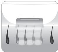 BABYLISS G960E4269748 - Cycle de croissance du poil - 3