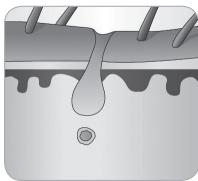 BABYLISS G960E4269748 - Cycle de croissance du poil - 7