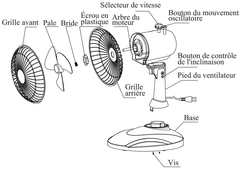 PROLINE DKF 23Cc - Description - 1