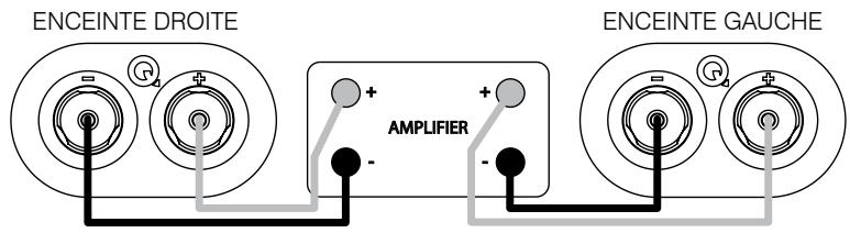 Q-ACOUSTICS HIFI5060S - Connexions standard - 1