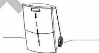 ARGO NARCISO 12 - AVENTISSEMENTS - 3