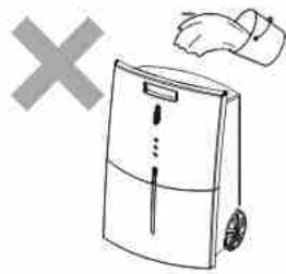 ARGO NARCISO 12 - ATTENTION - 5