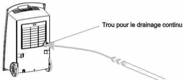 ARGO NARCISO 12 - - Drainage continu - 1