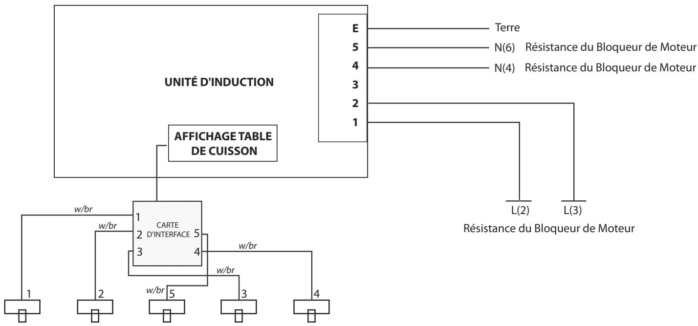 FALCON NEX90EIWH/C-EU - Schémas de Câblage - 1