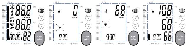 TERRAILLON TENSIOMETRE BRAScopic - Prendre la tension - 1
