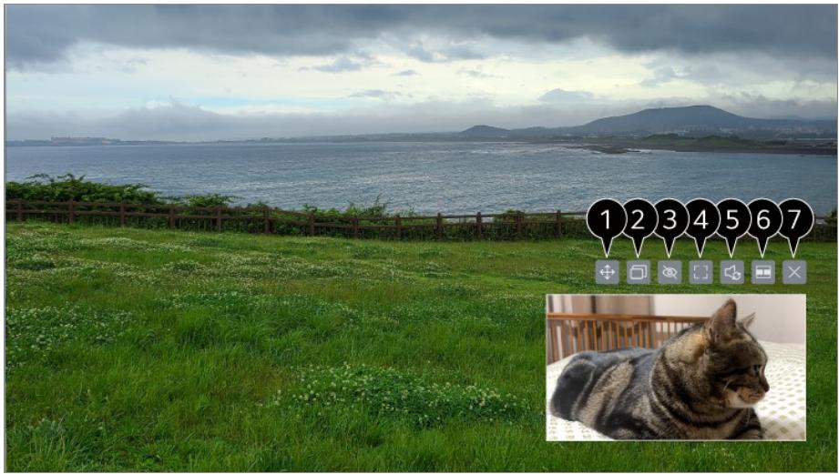 LG TELEVISEUROLED77CS6 - Utilisation du mode Image dans l'image - 1