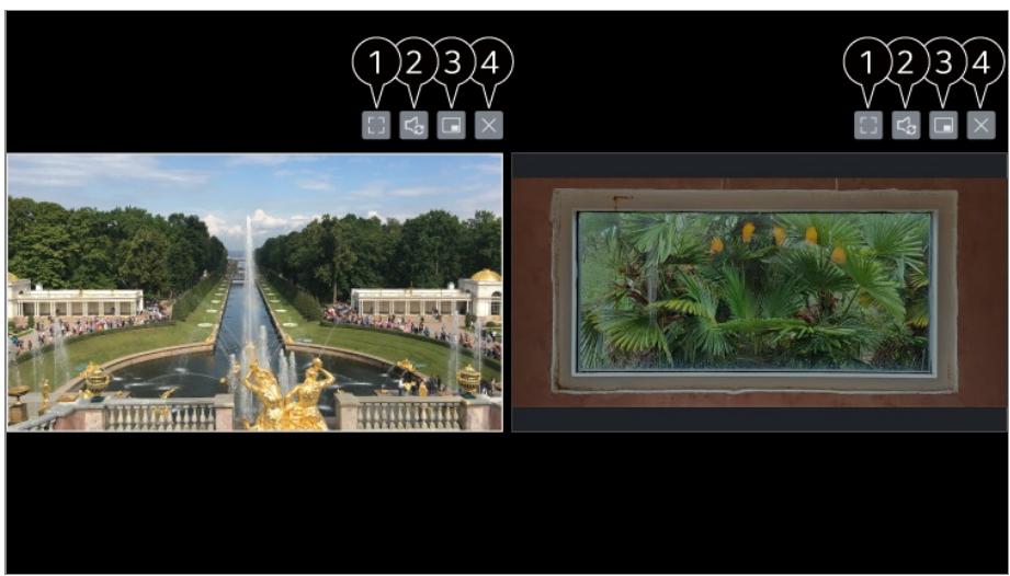LG TELEVISEUROLED77CS6 - Utilisation du mode Côte à côte - 1