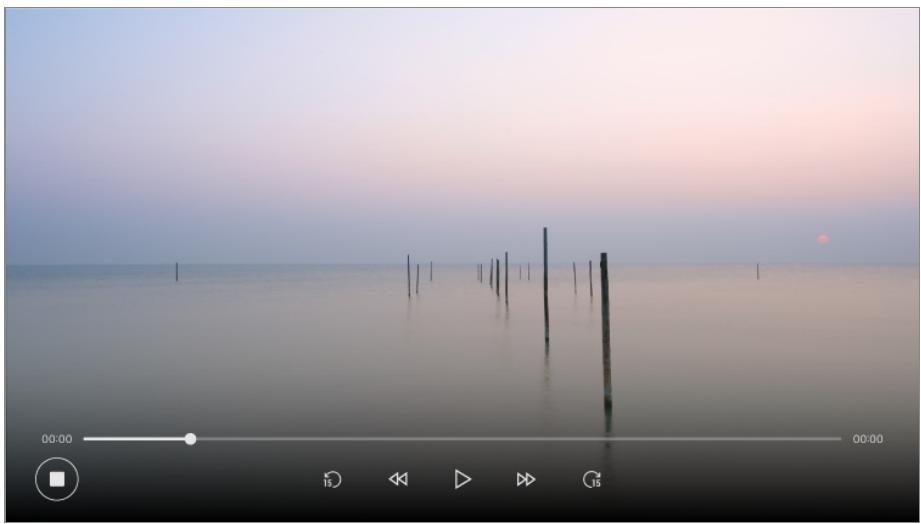 LG TELEVISEUROLED77CS6 - Utilisation de l'enregistrement instantané - 1