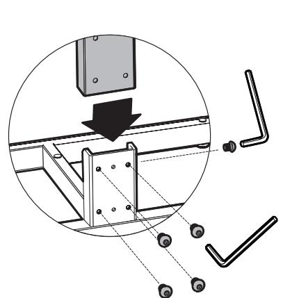 ERARD 002703-STILEO - 9