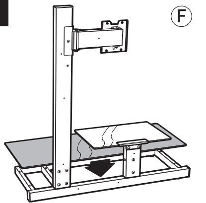 ERARD 002703-STILEO - 7