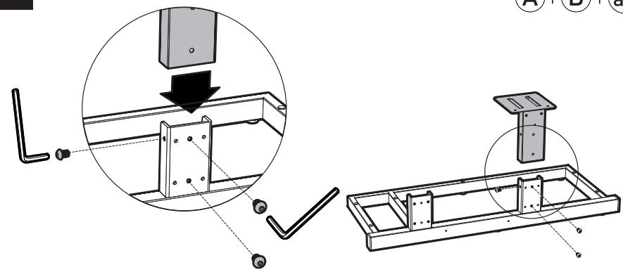 ERARD 002703-STILEO - 6