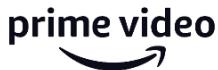 JVC LT-43FV130 - NETFLIX - 1