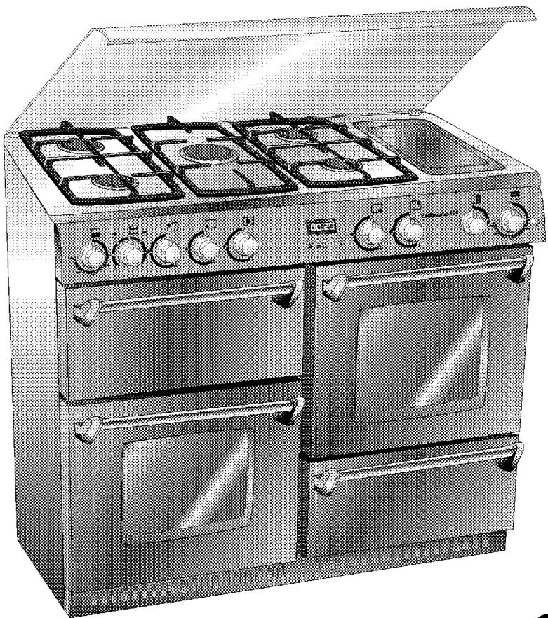 LEISURE CM 10 FRCP CREME - AVERTISSEMENTS POUR L'ENVIRONNEMENT - 3