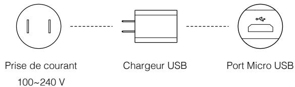 DII SPARK COMBO BLEU - Activation de la Batterie de Vol Intelligente - 1