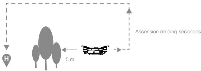 DII SPARK COMBO BLEU - Évitement des obstacles pendant la procédure RTH - 1