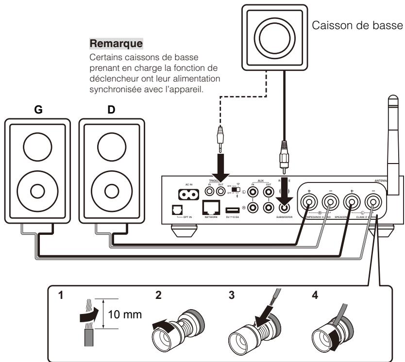 YAMAHA MUSICCAST WX-C50 - Raccordement d'enceintes (WXA-50) - 1