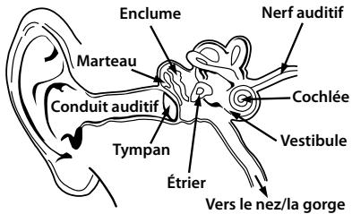 MONSTER DNA TUXEDO BLANC/NOIR - Écoutez de manière responsable - 1