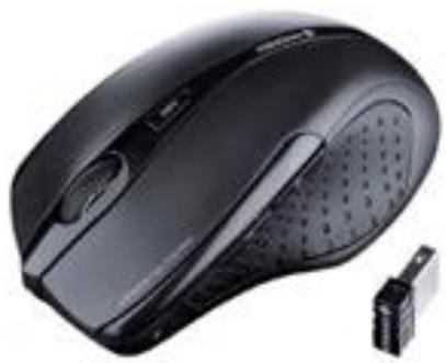 ORDISSIMO Lucie 2 - Souris sans-fil avec connecteur USB - 1