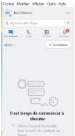 ORDISSIMO Lucie 2 - Se connecter à son compte Skype - 3