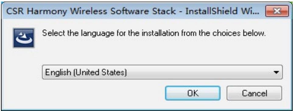 LEON DARTY - Install Bluetooth Adapter's Driver - 1