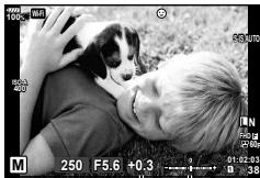 OLYMPUS OM-D-EM1 MARK ii - Choix de l'ouverture et de la vitesse d'obturation (mode manuel) - 3