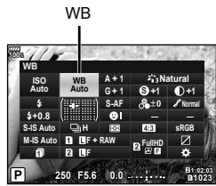 OLYMPUS OM-D-EM1 MARK ii - Ajustement de la couleur (WB (balance des blancs)) - 1