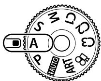 OLYMPUS OM-D-EM1 MARK ii - Choix de l'ouverture (mode priorité ouverture) - 1