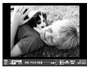 OLYMPUS OM-D-EM1 MARK ii - MENU  电→[Viseur électronique] - 1