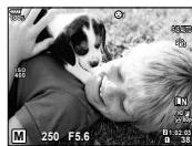 OLYMPUS OM-D-EM1 MARK ii - MENU  电→[Viseur électronique] - 2