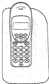 SAGEM WP 1233 SMS - CHARGE DU COWBNE - 1