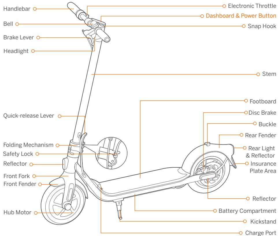 NINEBOT F30 - Diagram - 1