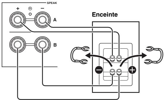 YAMAHA RNG602 - Connexion bifilaire - 1