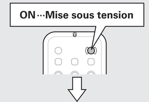 DENON CARA S-5BD - REMARQUE - 2