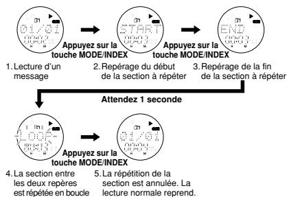 OREGON SCIENTIFIC VR 383 - Répartition de la lecture d'une section du message - 1