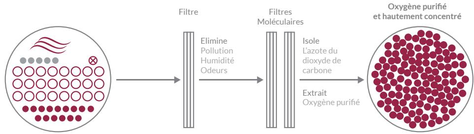 RIVIERA & BAR BV1000 - Oxygen purifié et concentré - 2