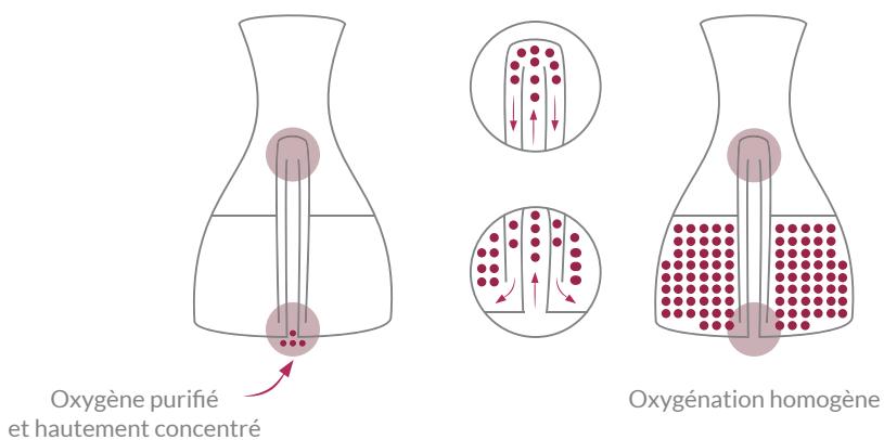 RIVIERA & BAR BV1000 - Une carafe brevetée - 1