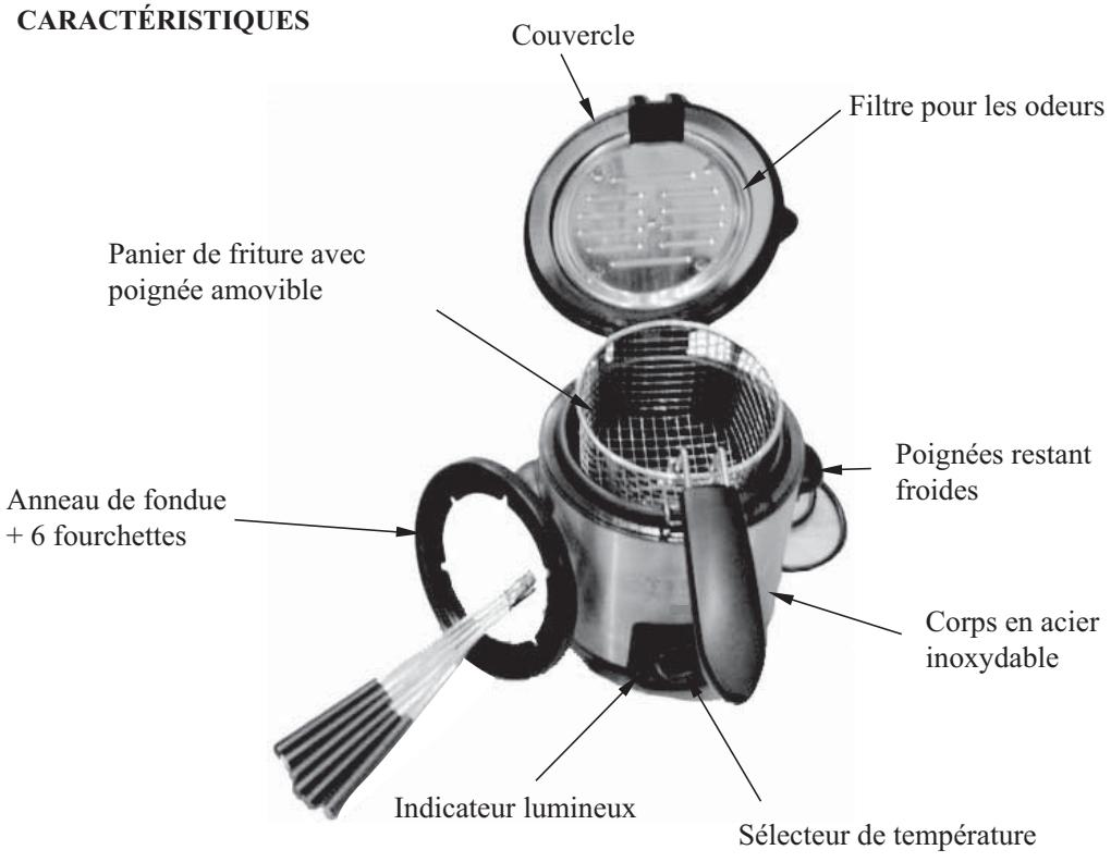 PROLINE DUO 6 FONDUE+FRITEUSE - REMARQUE - 1