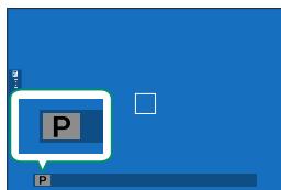 FUJIAPN HYBRIDEX-1T5 - Taking Photographs (Mode P) - 4