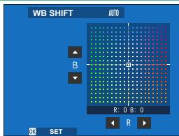 FUJIAPN HYBRIDEX-1T5 - Fine-Tuning White Balance - 1