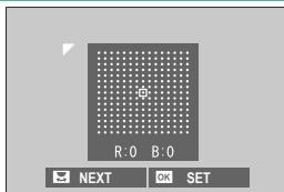 FUJIAPN HYBRIDEX-1T5 - COLOR SHADING CORRECTION - 1