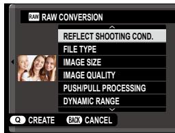 FUJIAPN HYBRIDEX-1T5 - Saving RAW Pictures in Another Format - 1