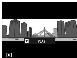 FUJIAPN HYBRIDEX-1T5 - -Viewing Panoramas - 1