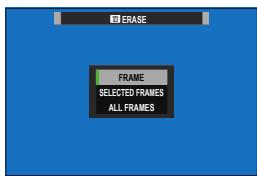 FUJIAPN HYBRIDEX-1T5 - Deleting Pictures - 3