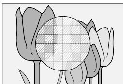 FUJIAPN HYBRIDEX-1T5 - MF Assist - 3