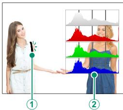 FUJIAPN HYBRIDEX-1T5 - Histograms - 3