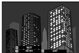 FUJIAPN HYBRIDEX-1T5 - Multiple Exposures - 5