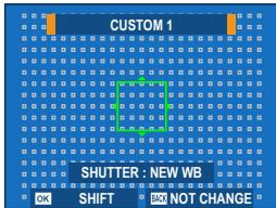 FUJIAPN HYBRIDEX-1T5 - Custom White Balance - 1