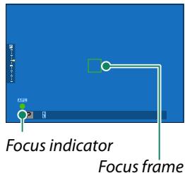 FUJIAPN HYBRIDEX-1T5 - Focus. - 1